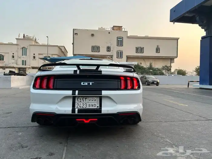 موستنق 2019 GT وارد كندا (تم البيع) 2