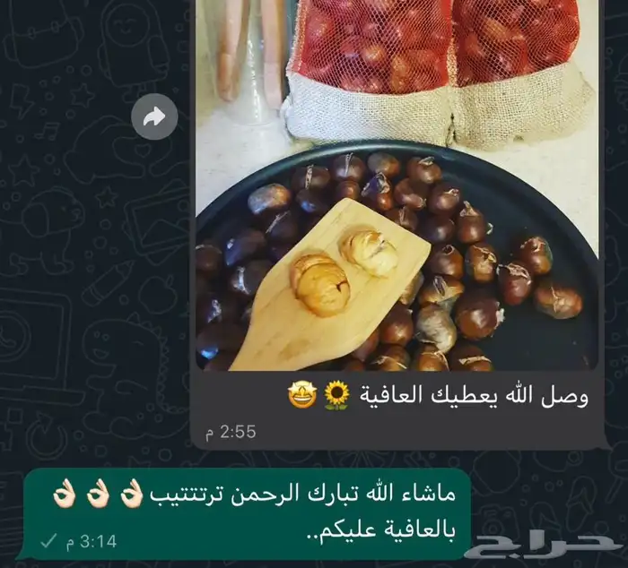 كستناء أبو فروة تركي فاخر مشروط (لو ما ناسبك استرجعه). 5