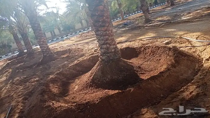 تنظيف وتكريب وتجوير المزارع بأسعار مناسبة 2