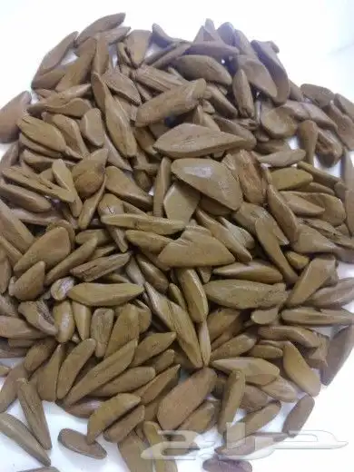 عود مروكي طبيعي محسن 0