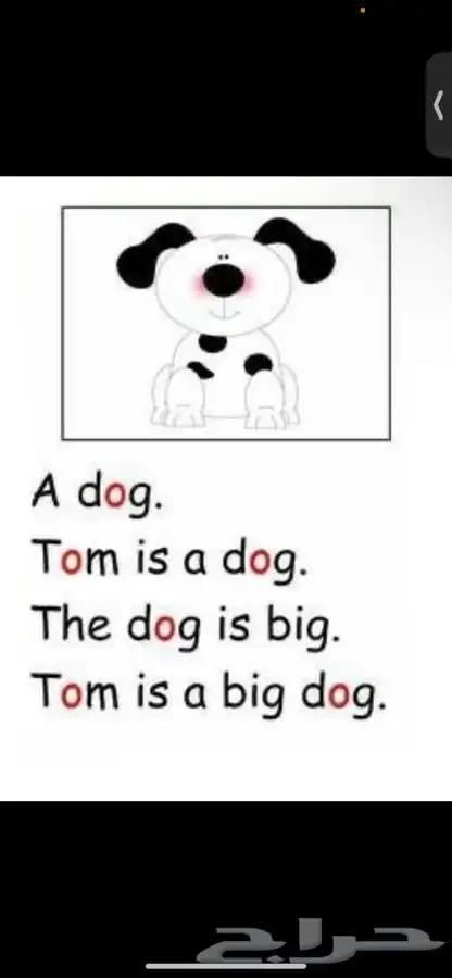 معلمه انجليزي 0