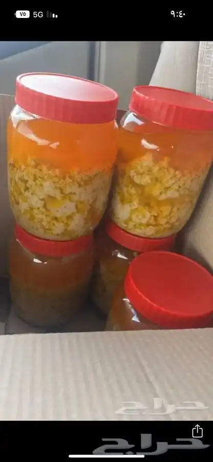 سمن بقر ورضيف صافي 1