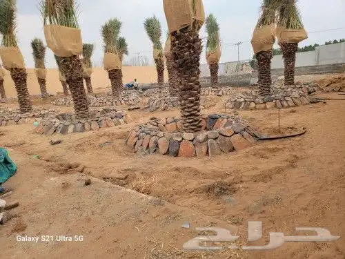 تلبيسات ممرات أحواض مجالس بالحجر الطبيعي 7