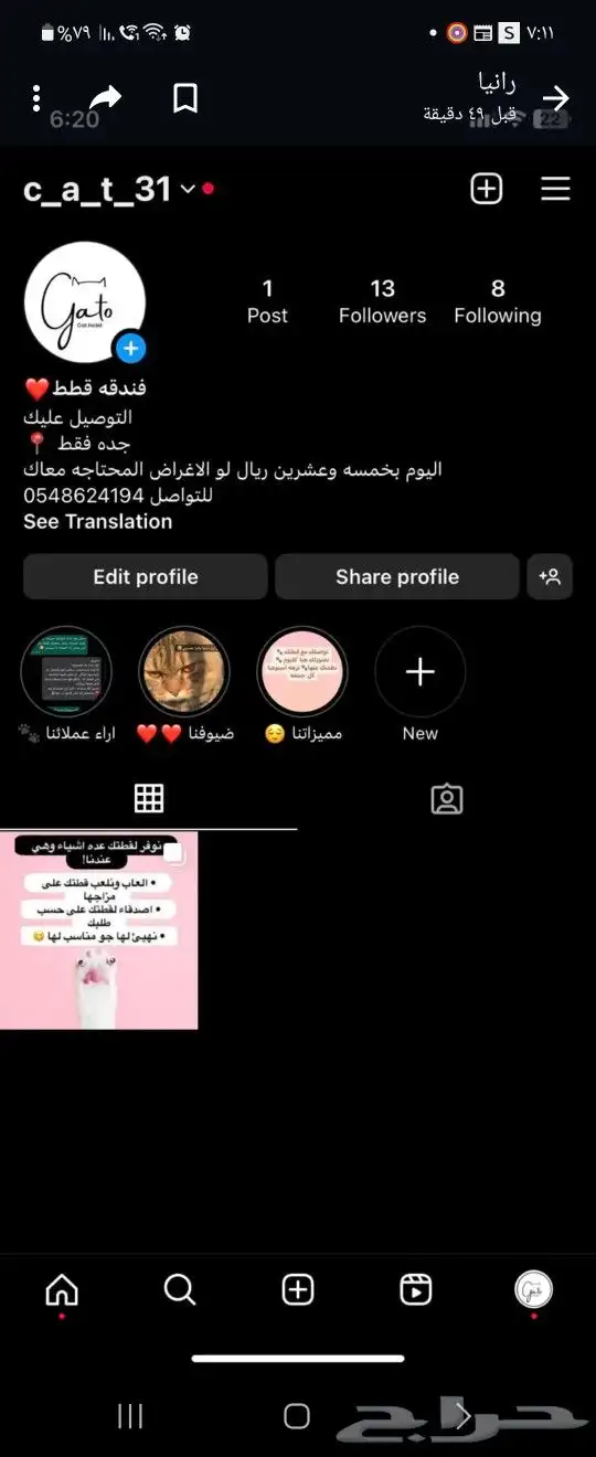 فندقه قطط بجده 0