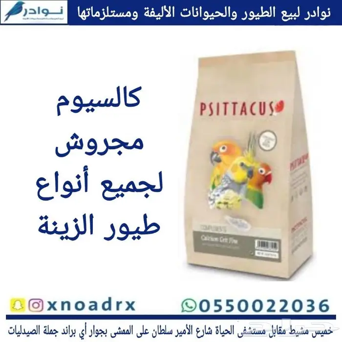 زبريم وباتيه طيور زينة نوادر خميس مشيط 58