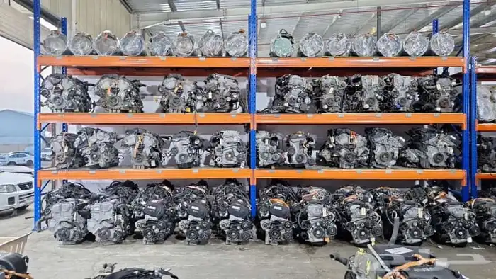 عالم الجربكس الاتوماتيك 19