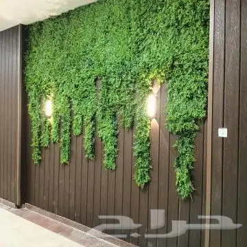 لدينا جميع انواع بديل الخشب العادي والمطلع 5
