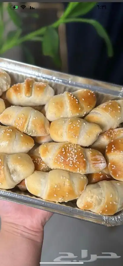 معجنات مشكل 1