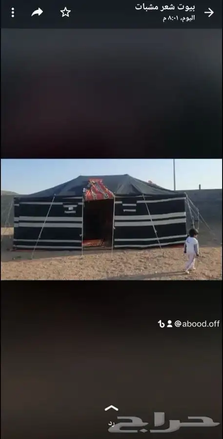 خيام وبيوت الشعر الابيض والاسود والمشبات 1