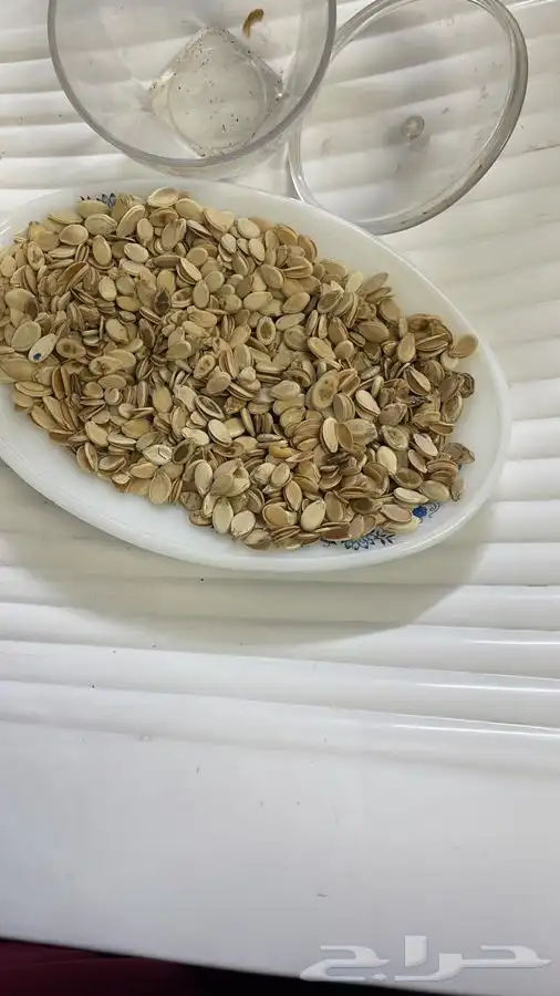 فصفص حب الاولين حب القصب اشيقر 0