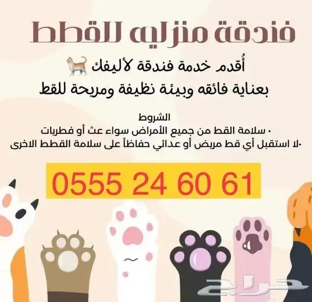 شاهد التقييمات - فندقة قطط وطيور 61 - 60 - 24 - 0555 1