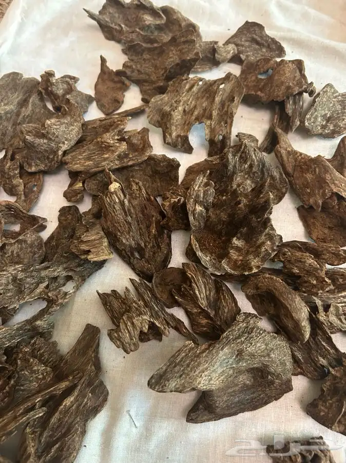 عودطبيعي بورمي درجه اولىومليء بالدهن قديم متوفر كميات 2