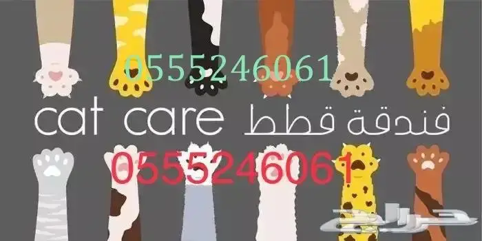 شاهد التقييمات - فندقة قطط وطيور 61 - 60 - 24 - 0555 2