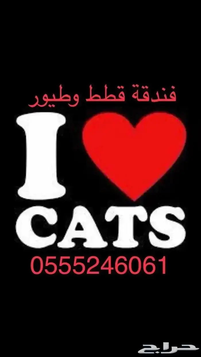 شاهد التقييمات - فندقة قطط وطيور 61 - 60 - 24 - 0555 0