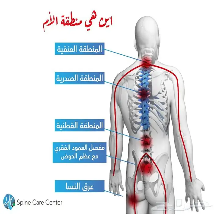 معالج لي عرق النساء والانزلاق الغظروفي والابهر 0