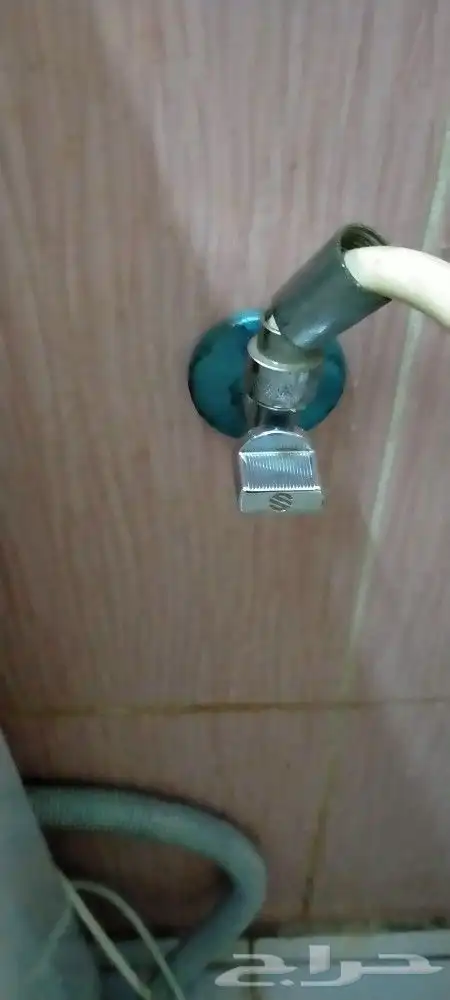 دهان بويا ابواب 8