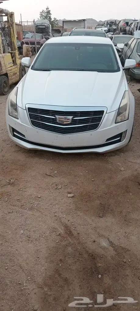 كدلك كدالك 1