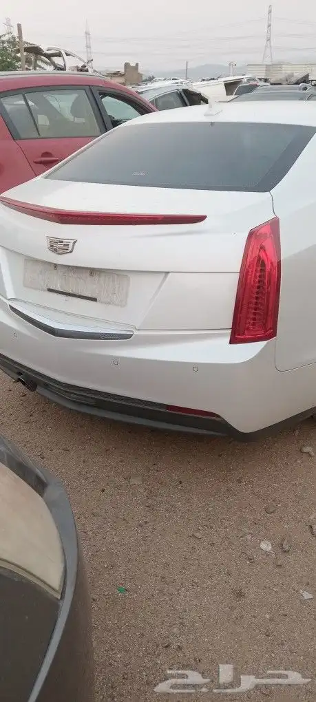كدلك كدالك 2