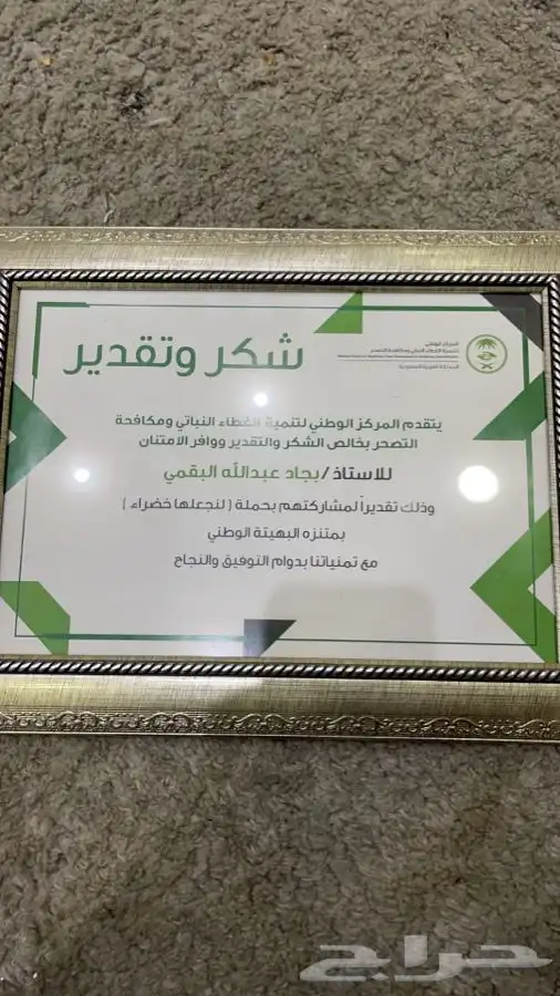 شتلات شتله مشاتل اشجار بريه 6