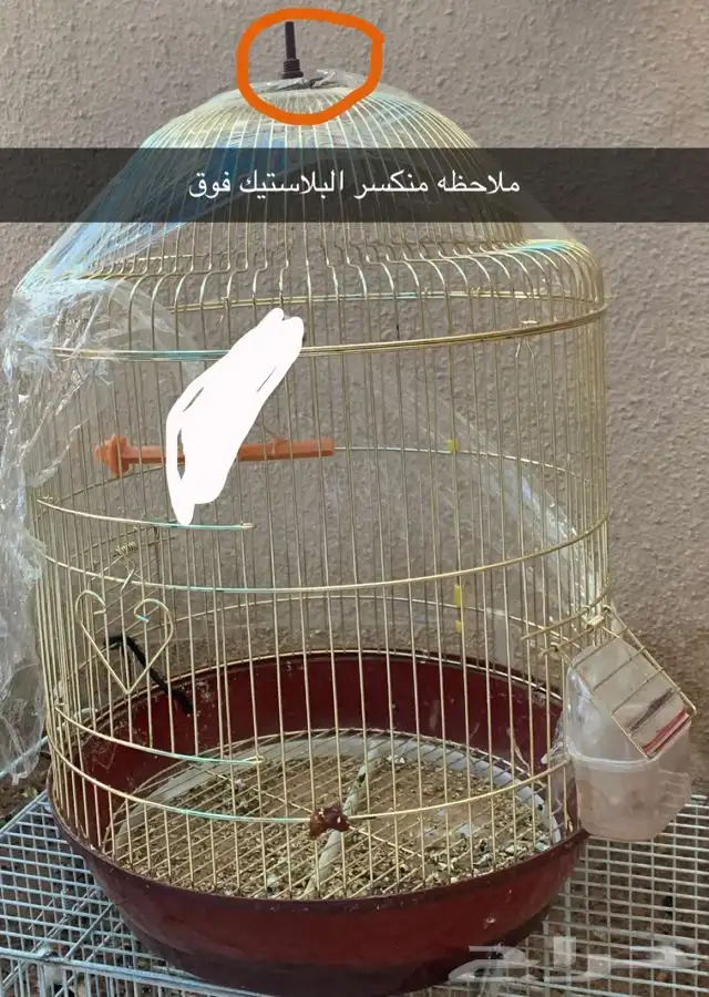 اقفاص طيور 0