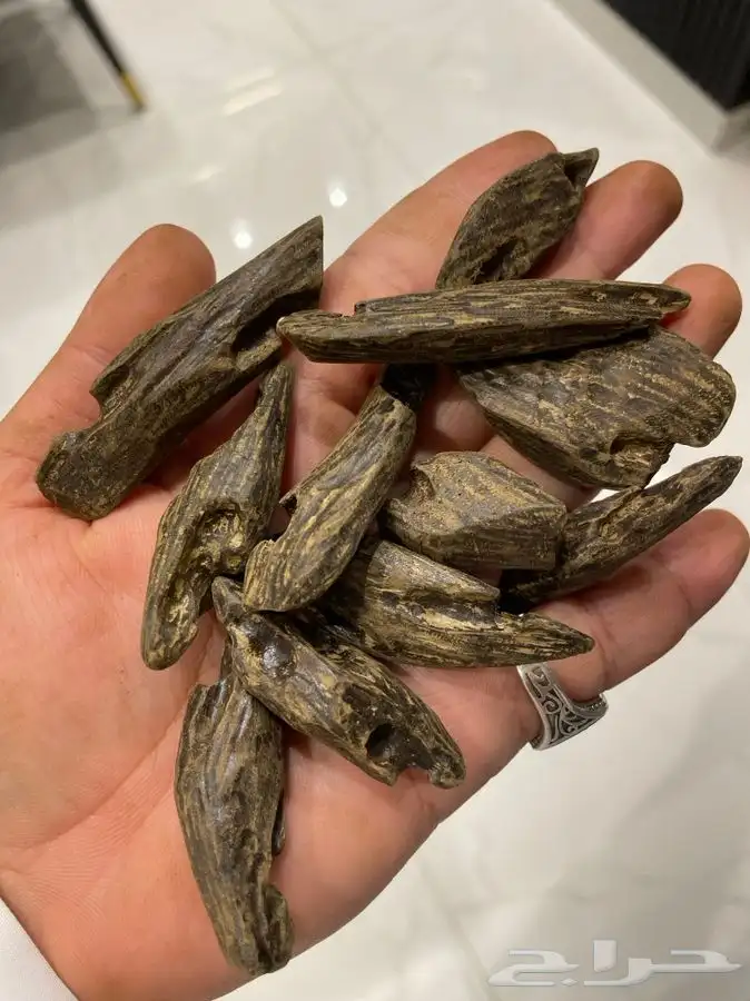 مروكي H فخم الوقيه 135 شامل التوصيل 4
