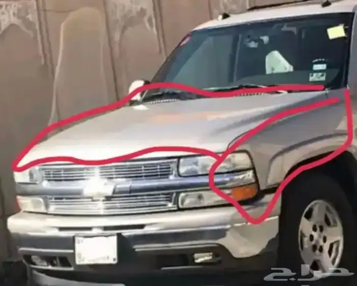 كبوت ورفرفين سوبربان شفر اللون فضي نظيفه 0