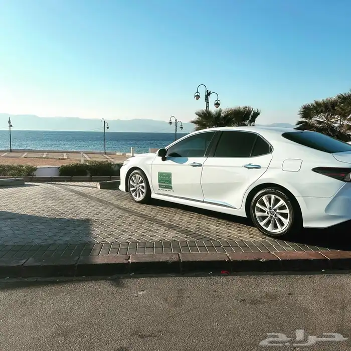 سفريات الأردن السعوديه 1