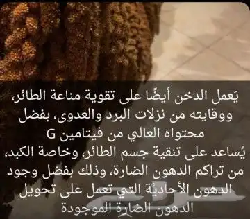 عناقيد الدخن الاصفر للطيور حب دوار الشمس اكل حسون دالي نيشر 7