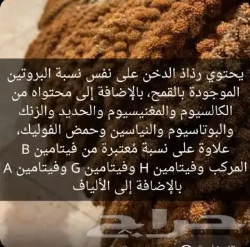 عناقيد الدخن الاصفر للطيور حب دوار الشمس اكل حسون دالي نيشر 6