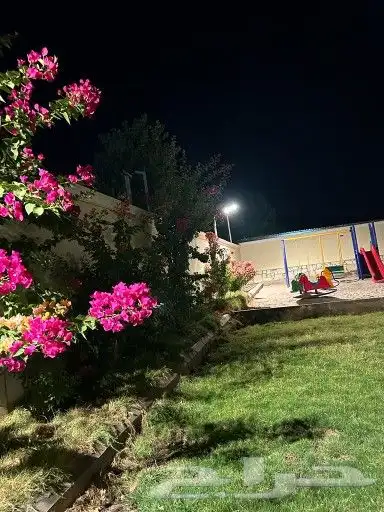 شاليهات للأيجار ديراب سنوي شهري يومي 14