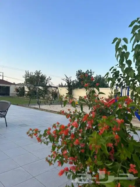 شاليهات للأيجار ديراب سنوي شهري يومي 13