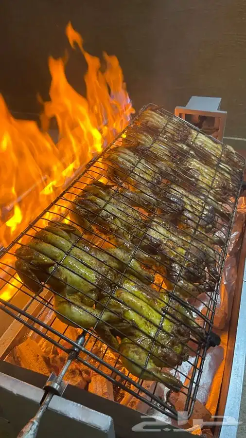 شوايه دوران كهرب غاز وفحم 19