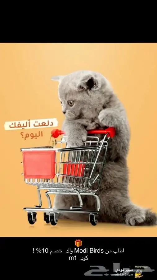 متجر حيوانات اليفة 0