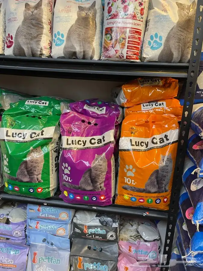 متجر حيوانات اليفة 38