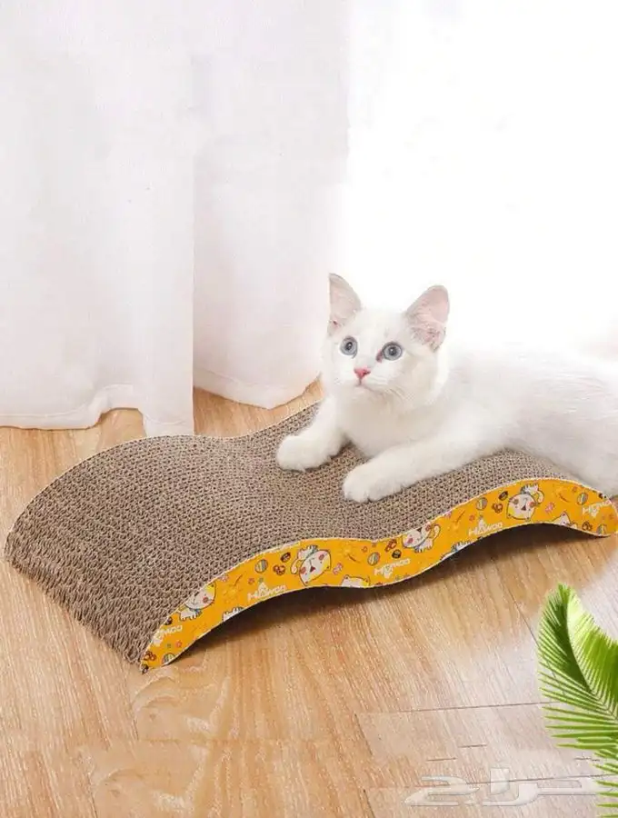 متجر حيوانات اليفة 33