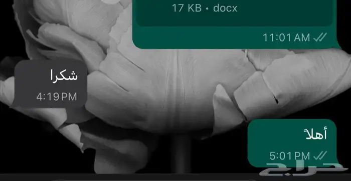 ترجمة تقارير طبية ومقالات وبوربوينت بأي موضوع 2