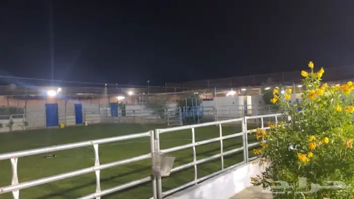 ايواء للخيول 1