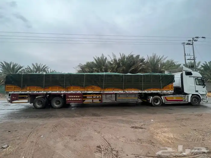 جريد نخل سعف عسيب 9