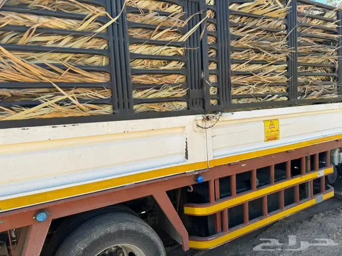 جريد نخل سعف عسيب 8