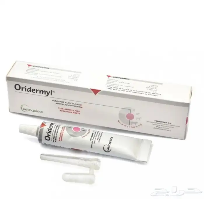 متجر حيوانات اليفة 42