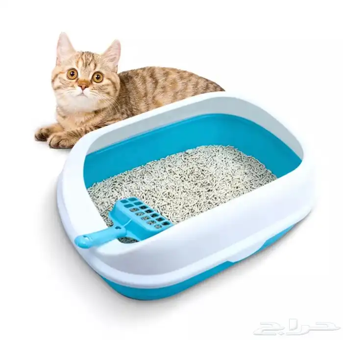 متجر حيوانات اليفة 17