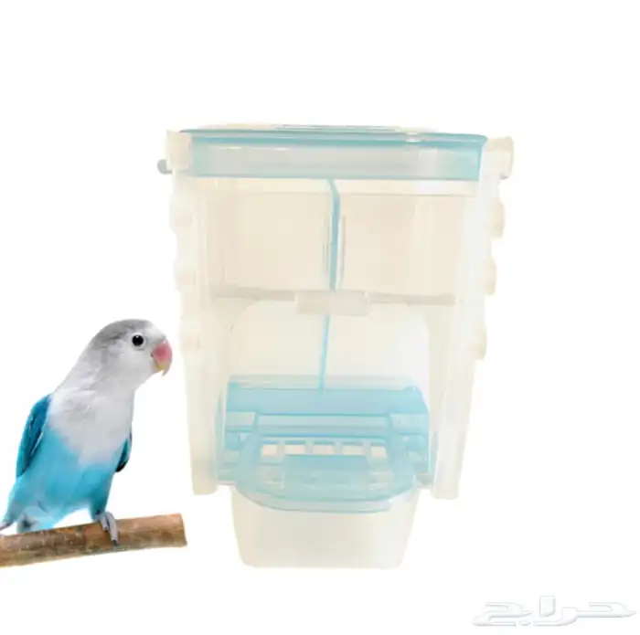 متجر حيوانات اليفة 24