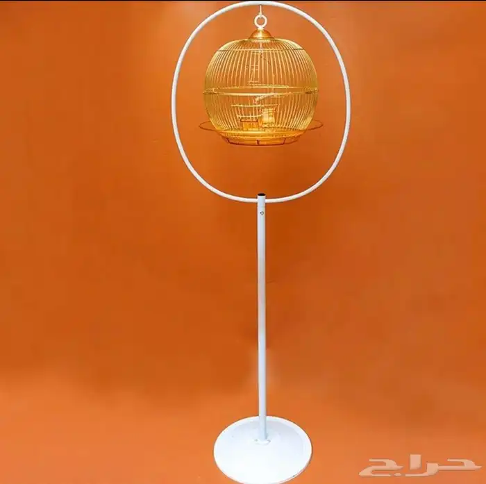 متجر حيوانات اليفة 7