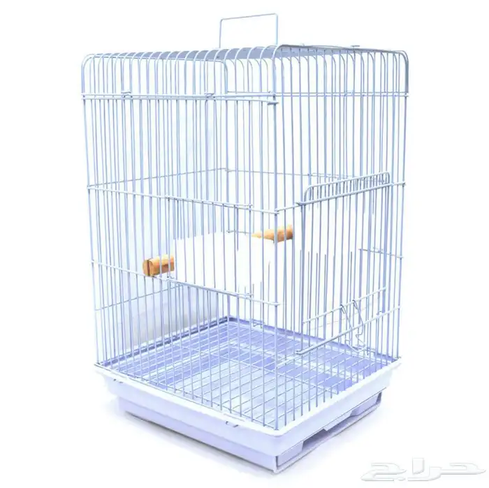 متجر حيوانات اليفة 8