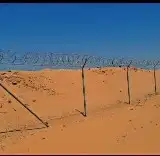 توريد وتركيب جميع انواع الشبوك الزراعيه وا الحكوميه مظلات مل 6