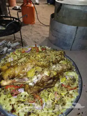 للرحلات البرية ثلاث عمال ضيافة بنغلاديش وخيمه عمودين 14