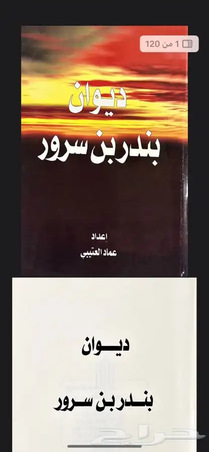 كتاب بندر بن سرور pdf 0