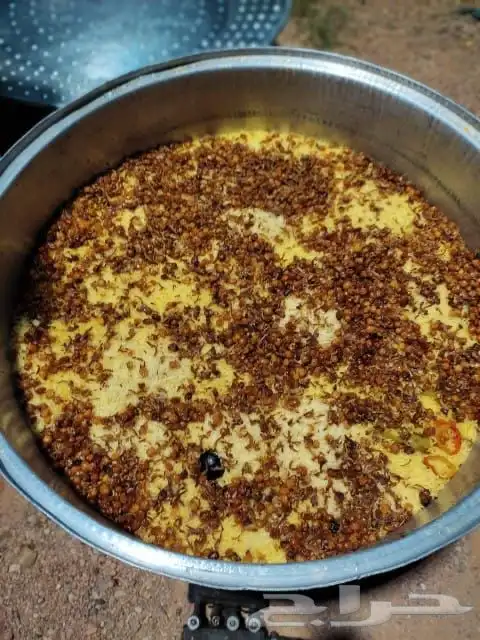 للرحلات البرية ثلاث عمال ضيافة بنغلاديش وخيمه عمودين 5