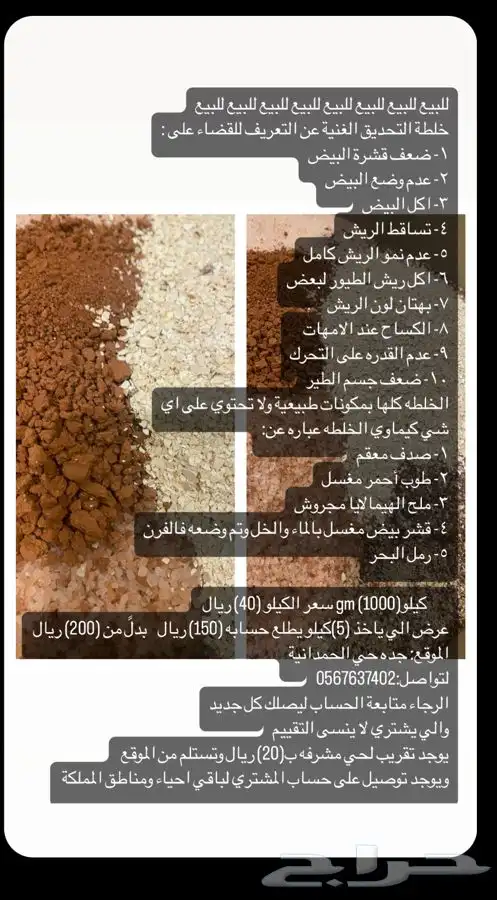 التحديق قواقع ادخل ونقي 3