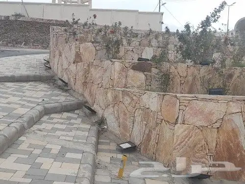 ابهاء النماص العلايه باشوت تنومه بلسمر الباحه 4